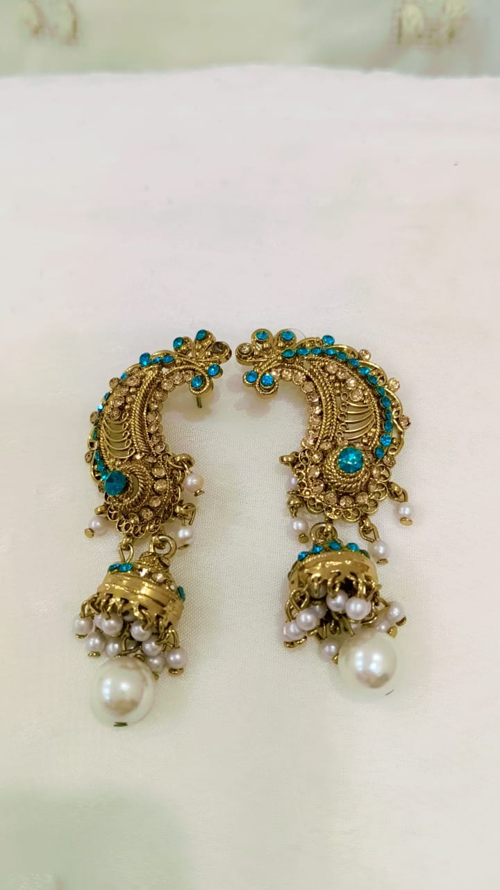 Earrings
